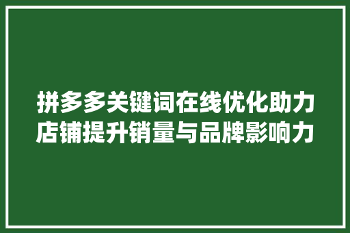 拼多多关键词在线优化助力店铺提升销量与品牌影响力的方法_拼多多关键词在线优化
