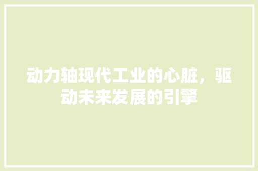 动力轴现代工业的心脏，驱动未来发展的引擎