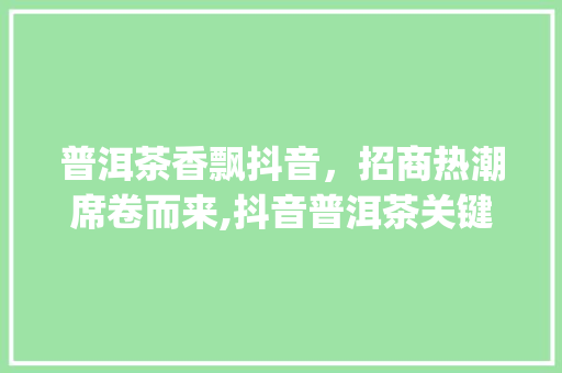 普洱茶香飘抖音，招商热潮席卷而来,抖音普洱茶关键词优化步骤_普洱抖音关键词优化招商