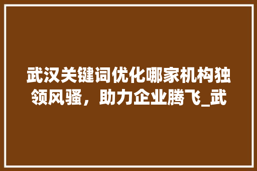 武汉关键词优化哪家机构独领风骚，助力企业腾飞_武汉关键词优化哪家厉害