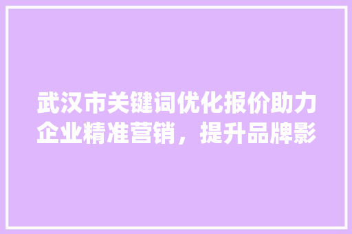 武汉市关键词优化报价助力企业精准营销，提升品牌影响力_武汉市关键词优化报价