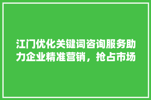 江门优化关键词咨询服务助力企业精准营销，抢占市场先机_江门优化关键词去哪咨询