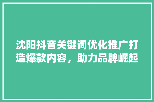 沈阳抖音关键词优化推广打造爆款内容，助力品牌崛起_沈阳抖音关键词优化推广