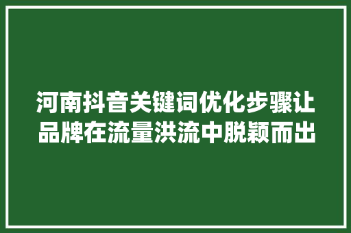 河南抖音关键词优化步骤让品牌在流量洪流中脱颖而出_河南抖音优化关键词推广