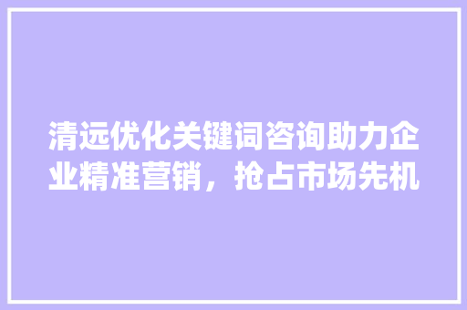 清远优化关键词咨询助力企业精准营销，抢占市场先机_清远优化关键词去哪咨询