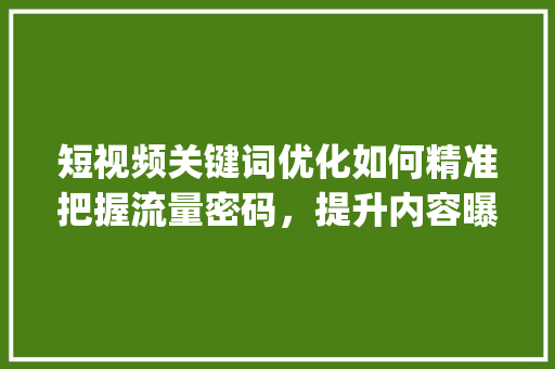 短视频关键词优化如何精准把握流量密码，提升内容曝光率_短视频关键词优化找哪家