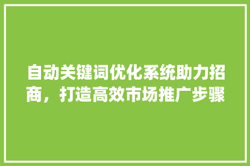 自动关键词优化系统助力招商，打造高效市场推广步骤_自动关键词优化系统招商