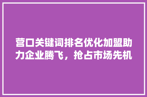 营口关键词排名优化加盟助力企业腾飞，抢占市场先机_营口关键词排名优化加盟