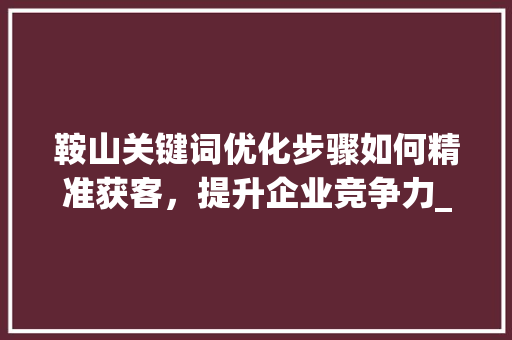 鞍山关键词优化步骤如何精准获客，提升企业竞争力_鞍山关键词优化如何获客