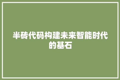 半砖代码构建未来智能时代的基石