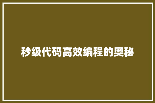 秒级代码高效编程的奥秘
