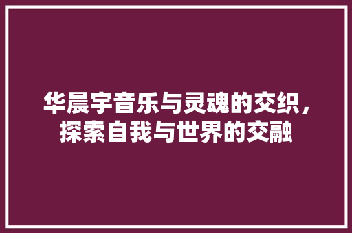 华晨宇音乐与灵魂的交织，探索自我与世界的交融