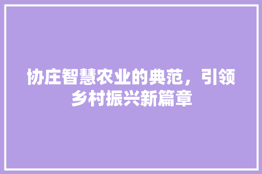 协庄智慧农业的典范，引领乡村振兴新篇章