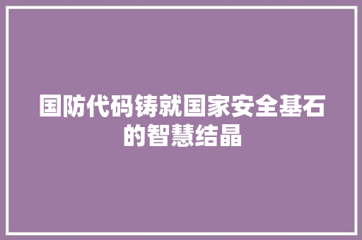 国防代码铸就国家安全基石的智慧结晶