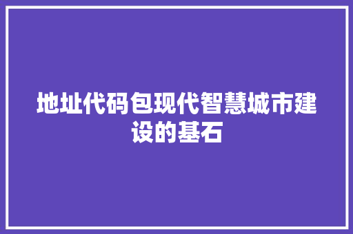 地址代码包现代智慧城市建设的基石