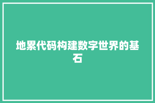 地累代码构建数字世界的基石