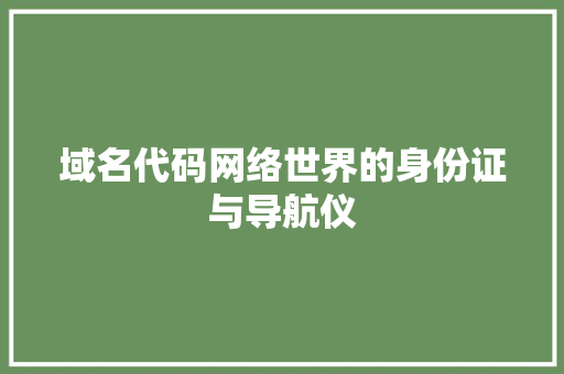 域名代码网络世界的身份证与导航仪