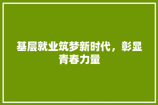 基层就业筑梦新时代，彰显青春力量