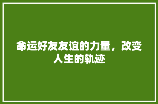 命运好友友谊的力量，改变人生的轨迹