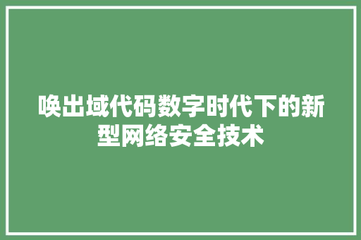唤出域代码数字时代下的新型网络安全技术