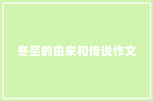 喵语代码编程世界的喵星人之谜