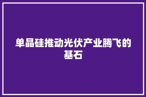 单晶硅推动光伏产业腾飞的基石