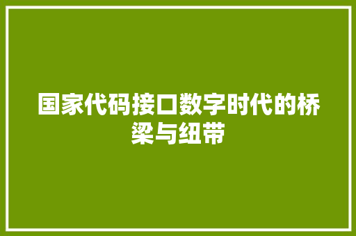 国家代码接口数字时代的桥梁与纽带