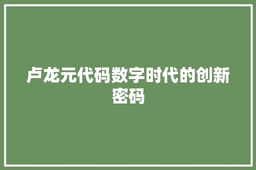 卢龙元代码数字时代的创新密码