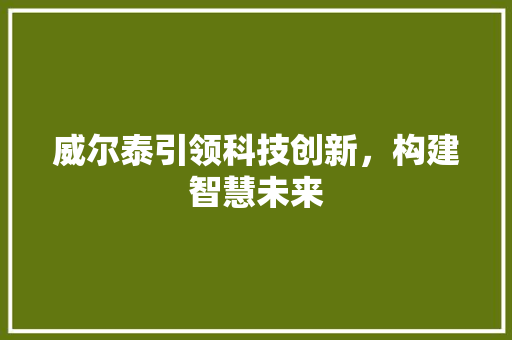 威尔泰引领科技创新，构建智慧未来
