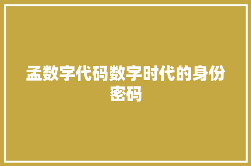 孟数字代码数字时代的身份密码  第1张