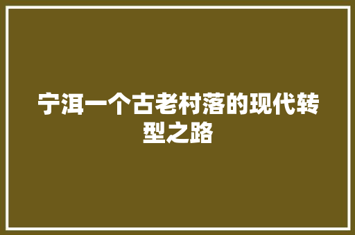 宁洱一个古老村落的现代转型之路