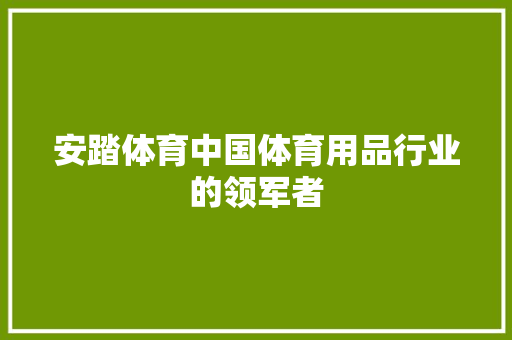 安踏体育中国体育用品行业的领军者  第1张