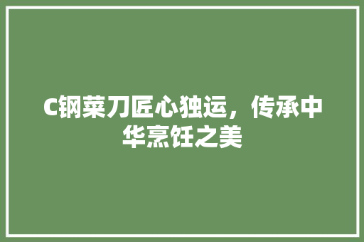 C钢菜刀匠心独运，传承中华烹饪之美