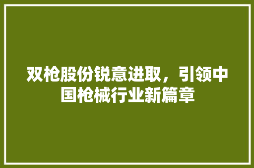 双枪股份锐意进取，引领中国枪械行业新篇章