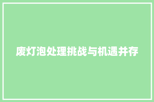 废灯泡处理挑战与机遇并存