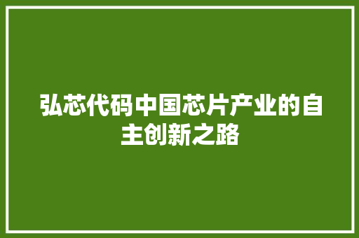 弘芯代码中国芯片产业的自主创新之路