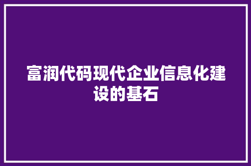 富润代码现代企业信息化建设的基石  第1张