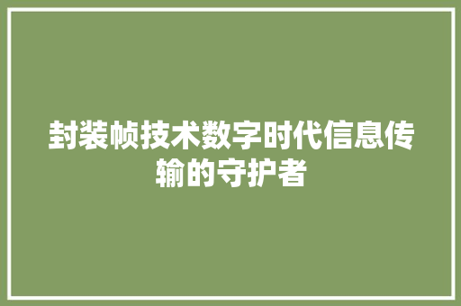 封装帧技术数字时代信息传输的守护者  第1张