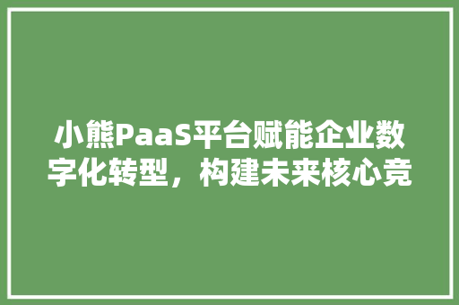 小熊PaaS平台赋能企业数字化转型，构建未来核心竞争力