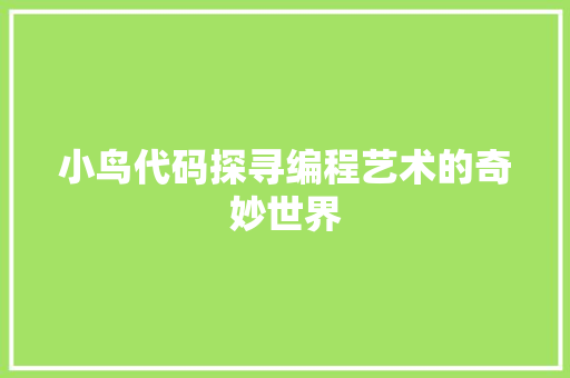 小鸟代码探寻编程艺术的奇妙世界  第1张