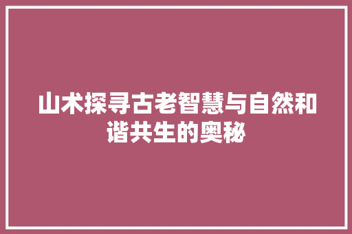 山术探寻古老智慧与自然和谐共生的奥秘