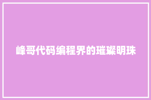 峰哥代码编程界的璀璨明珠