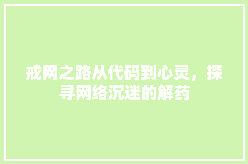 戒网之路从代码到心灵，探寻网络沉迷的解药