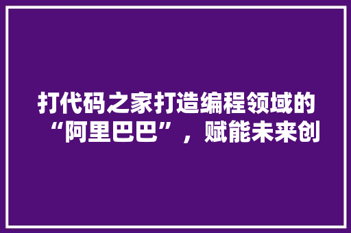 打代码之家打造编程领域的“阿里巴巴”，赋能未来创新力量
