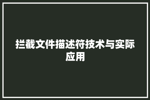 拦截文件描述符技术与实际应用