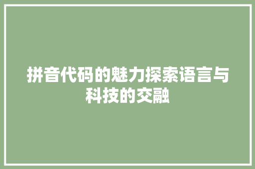 拼音代码的魅力探索语言与科技的交融