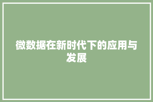 微数据在新时代下的应用与发展
