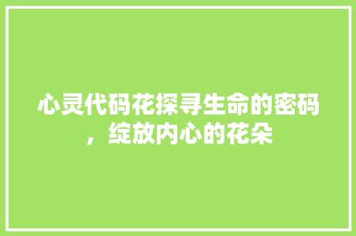 心灵代码花探寻生命的密码，绽放内心的花朵
