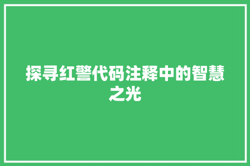 探寻红警代码注释中的智慧之光