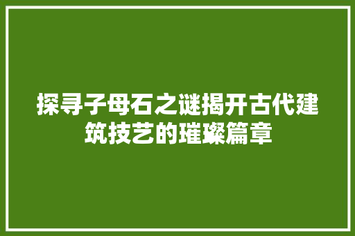 探寻子母石之谜揭开古代建筑技艺的璀璨篇章